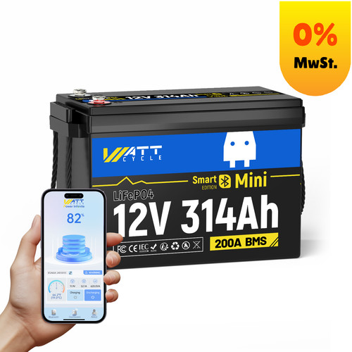 Batteria litio 12v 300ah - al,