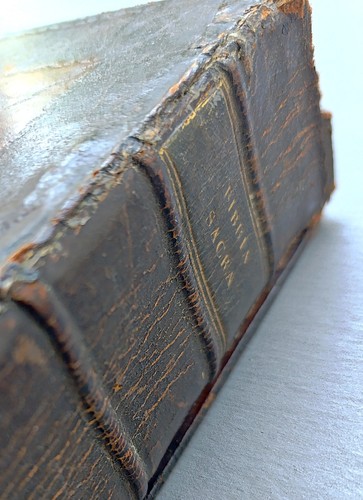 Bibbia sacra tradotta - tradotta, da
