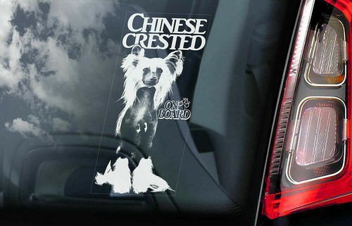 Adesivo auto cane crestato