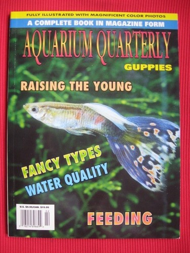 Guppies tropical fish - guppies,