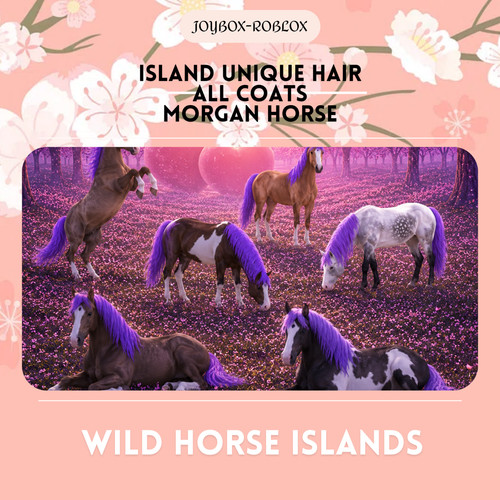 Wild horse islands - horse,