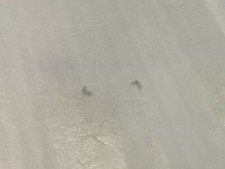 ROCO COPPIA TROMBE GRIGIE PER