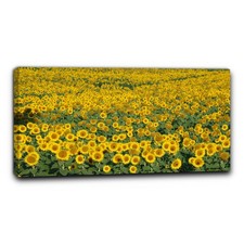 Niik Quadro campo di girasoli