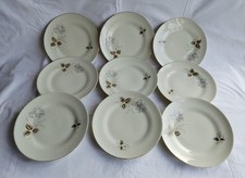 ✅ Richard Ginori 9 Piatti