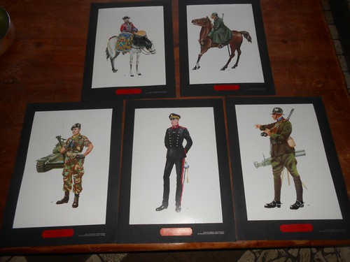 Stock stampe arma - stock,