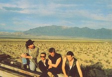 CARTOLINA DA COLLEZIONE - U2