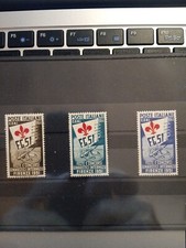 Anno 1951 Giochi Ginnici FI serie completa MHN**