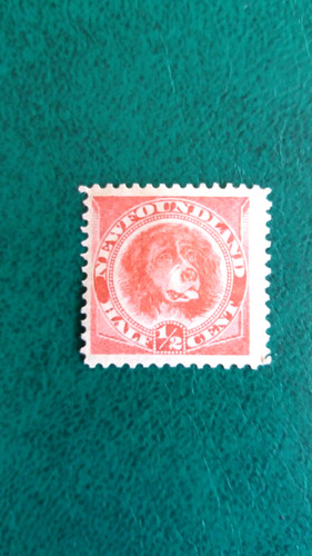 1896 terranova 1 - 1896/98-terranova(canada)-,