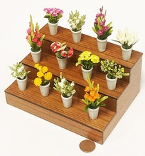 Casa delle Bambole Espositore