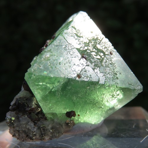 Minerali rara fluorite - ***,