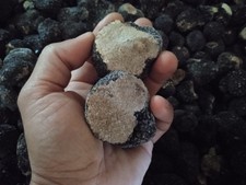 500 tartufo nero - 500,