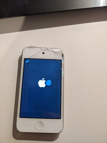 Ipod touch generazione 16 - 4,