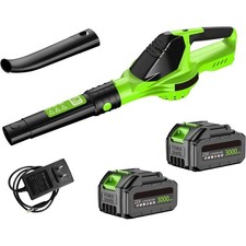 Soffiatore Foglie Batteria