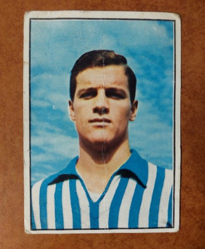 Figurina panini calciatori - figurina,