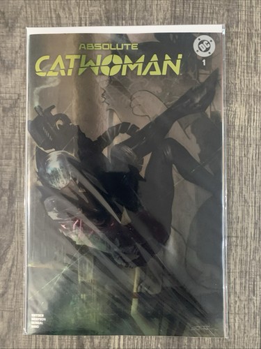 Absolute catwoman dan - catwoman,