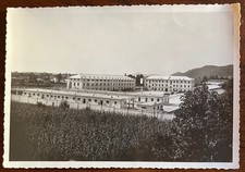 BOZZA FOTOGRAFICA-CORMONS (GO)