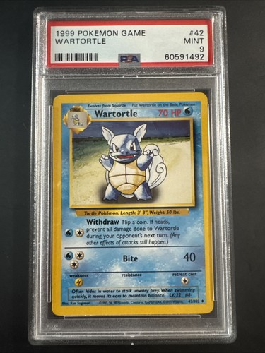 1999 pokémon game wartortle - game,