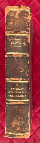 Trattato anatomia umana - di,