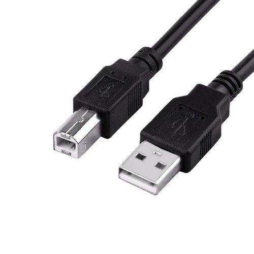 Pkpower cavo 6ft - 6ft, per