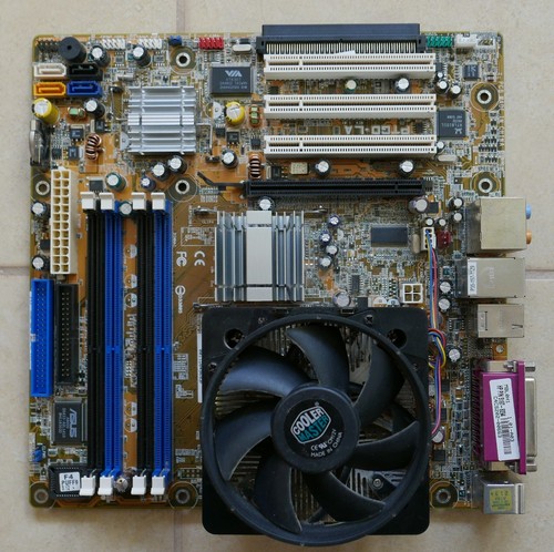 Scheda madre asus - scheda,