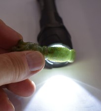 *** Con VIDEO: Bellissimo