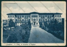 Treviso Conegliano Viticultura
