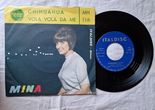 Mina chihuahua vola me - mina,