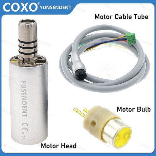 Coxo dentale micro motore - coxo,