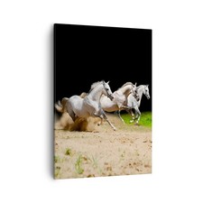 Quadro su Tela 50x70cm Cavalli