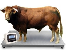 Bilancia terra 1500 kg - 1500,