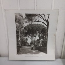 1994 Fratelli Alinari -