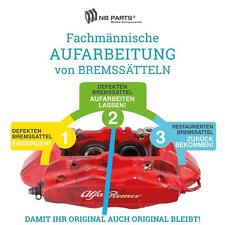 Revisione Pinza Freno