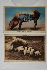 PIG MAIALE FRANCIA-LOTTO 2 CARTOLINE-C61-187