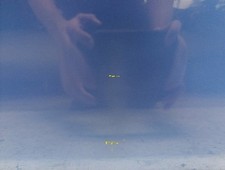 porta anteriore sinistra BMW