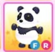 Panda Gigante | Adotta Ora