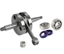 KIT POLINI ALBERO MOTORE SPALLE PIENE + CUSCINETTI PARAOLI RACING MINARELLI AM6