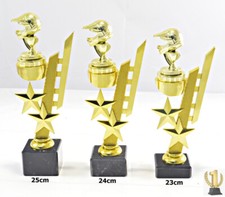 Motocross-Supermoto Trophée /