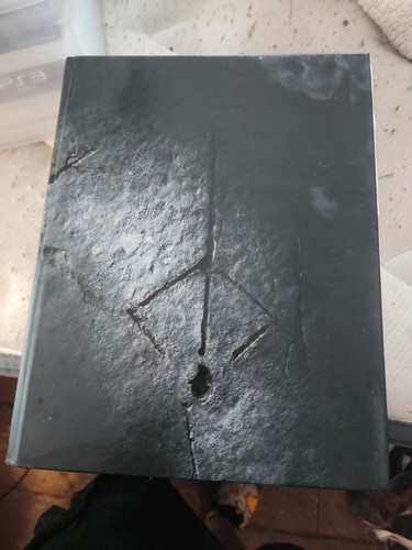 Bloodborne collector edition - bloodborne,