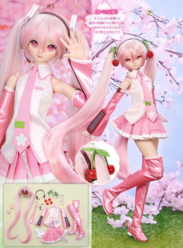 Volks dollfie dream sakura - dd,