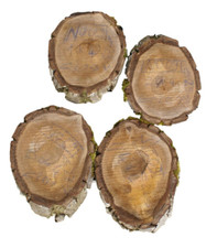 RUOTE IN LEGNO NOCE NATALE