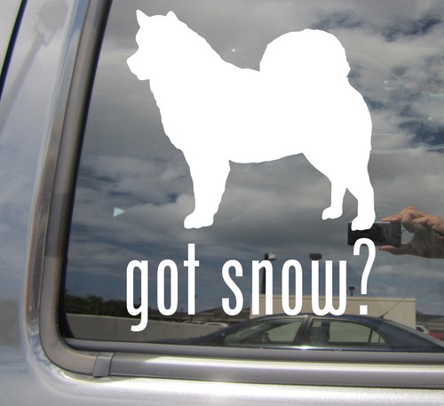 Hai neve alaskan - hai, la