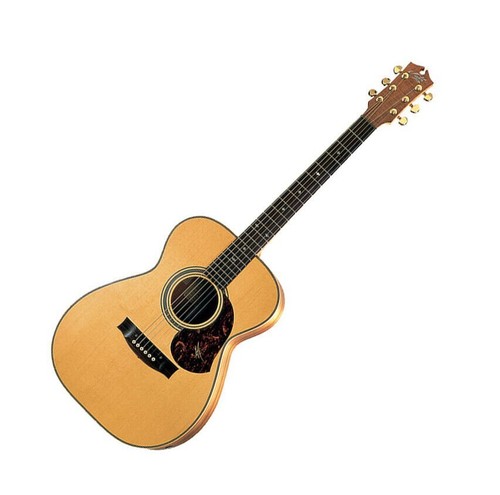 Maton ebg808 artista - ebg808,