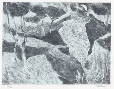 ENRICO PAULUCCI  "BOSCO IN