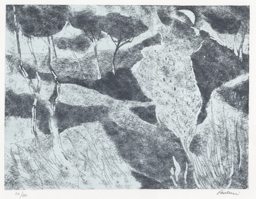 Enrico paulucci bosco - , in