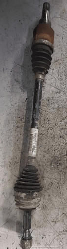 9801388580 semialbero ant - semialbero,