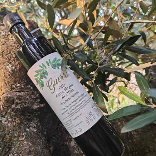 Olio extravergine oliva - extravergine, 3