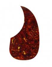 New Pickguard Acustica PVC -
