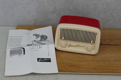 Rex bambino mini - ++,