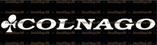 Colnago bikes sport - colnago,