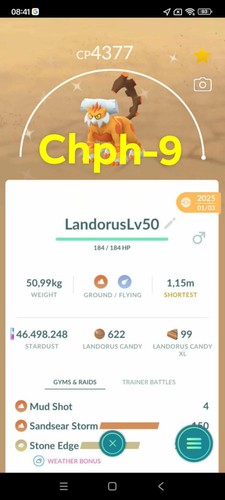 Pokemon shiny landorus - pokemon,